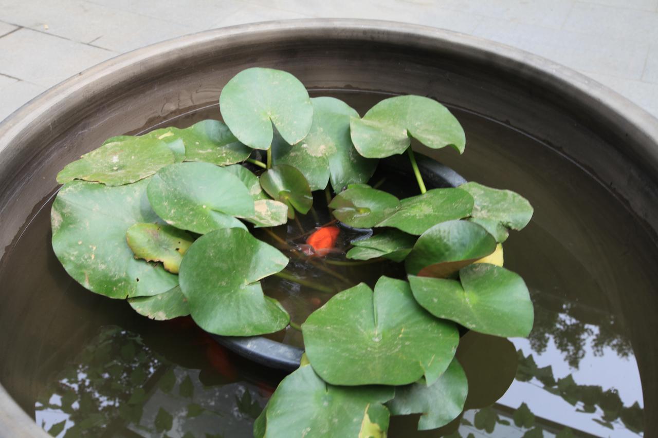 Zhantan Courtyard Hotel Pekin Zewnętrze zdjęcie