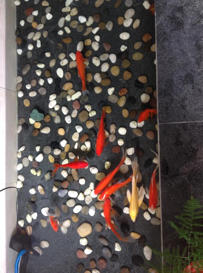 Zhantan Courtyard Hotel Pekin Zewnętrze zdjęcie